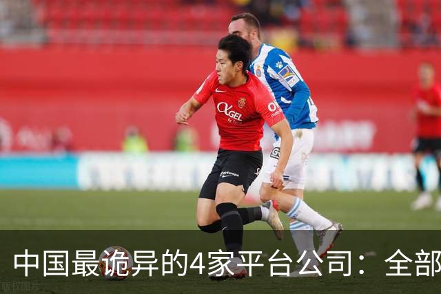 中国最诡异的4家平台公司：全部风险留给穷人，全部暴利留给自己