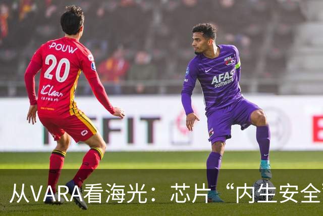 从VARA看海光：芯片“内生安全”的落地逻辑