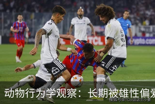 动物行为学观察：长期被雄性偏爱的雌性，最先蜕变的不是容貌，不是付出模式，而是骨子里的“领地感”