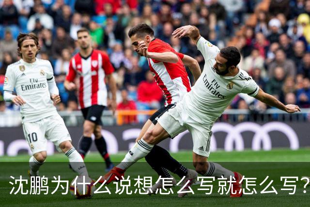 沈鹏为什么说想怎么写就怎么写？